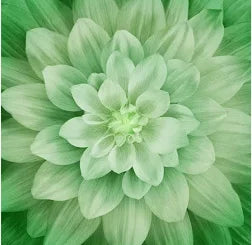 Dream Big Panel Green