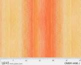 108" P04498 CJ Ombre 2.75 yards inv 23