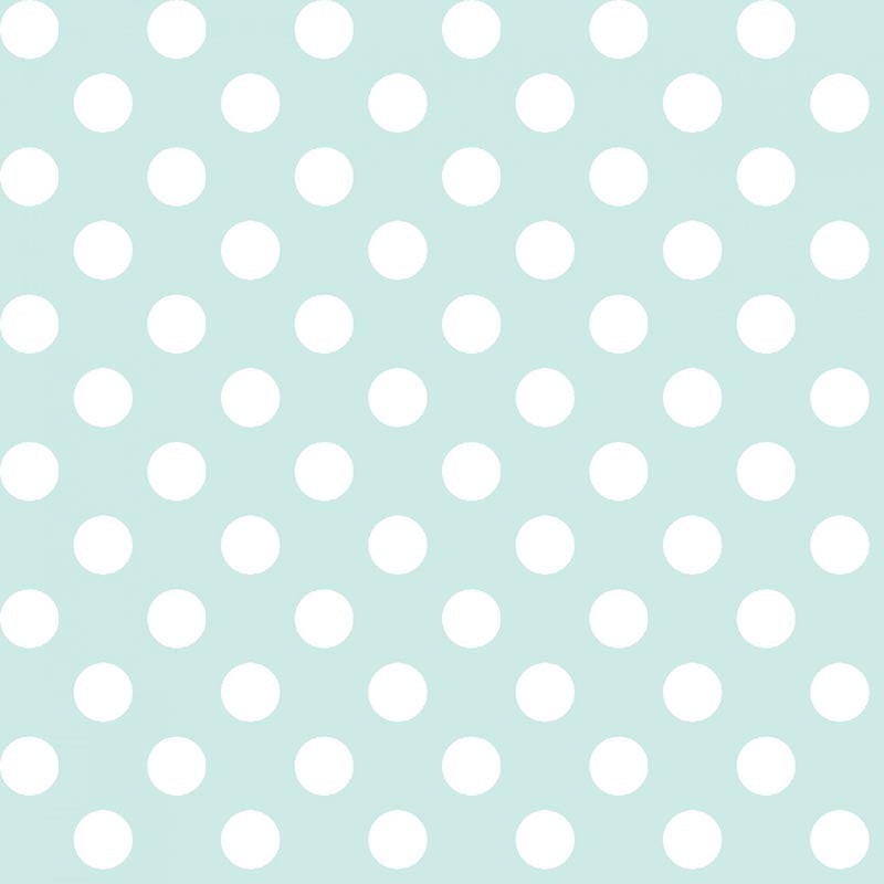 108" Kimberbell Basics Pale Aqua Dots Quilt Backs 3 yards inv 23