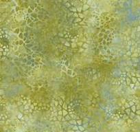 P2080 108" Essen Backing Pea Green Cotton Fabric 3 yards inv 23